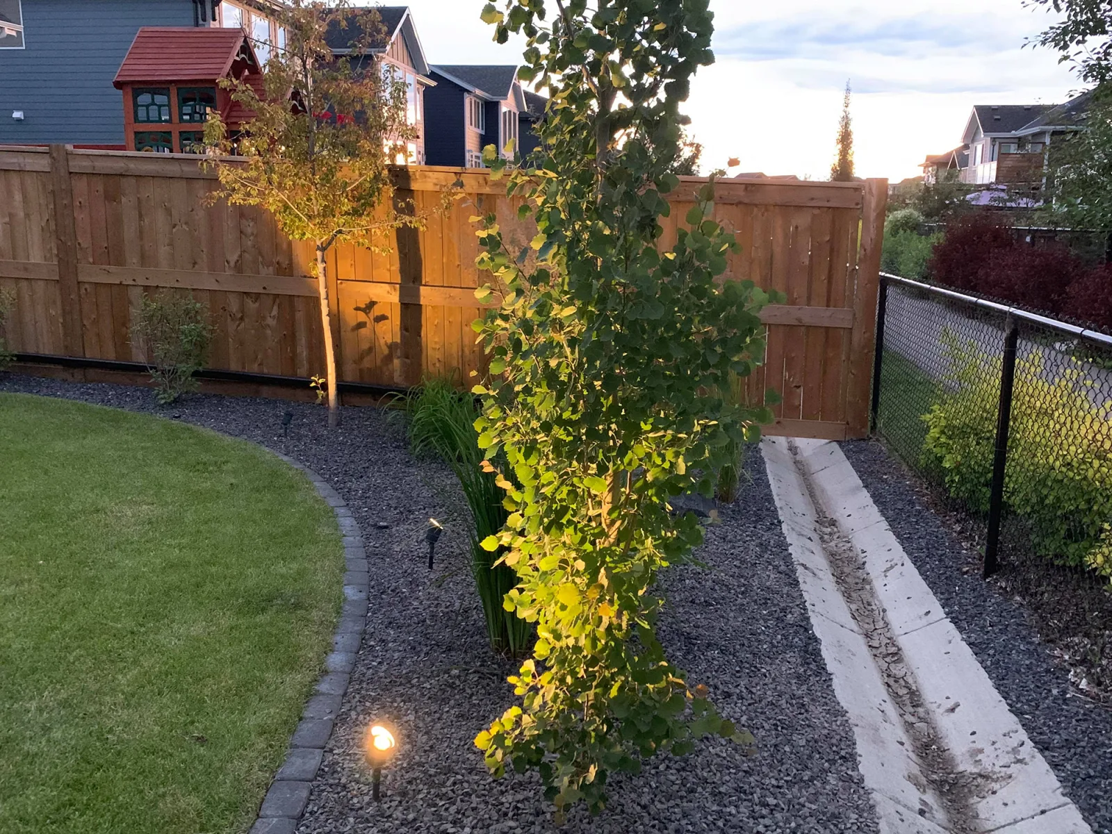 Integrated landscape lighting along a planted Calgary backyard